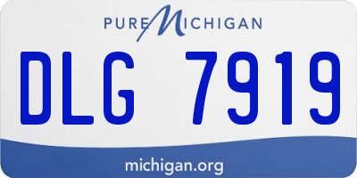 MI license plate DLG7919