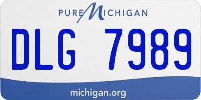 MI license plate DLG7989