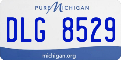 MI license plate DLG8529