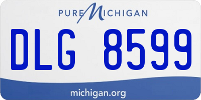 MI license plate DLG8599