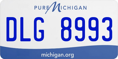 MI license plate DLG8993