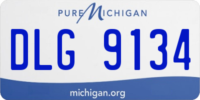MI license plate DLG9134