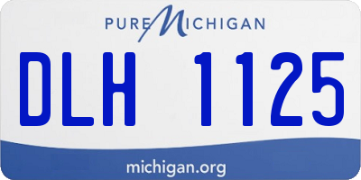 MI license plate DLH1125