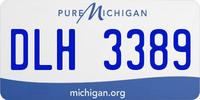 MI license plate DLH3389