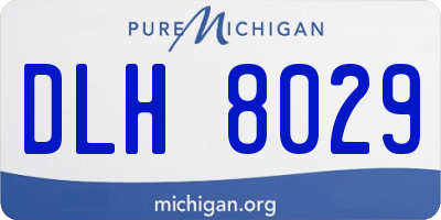 MI license plate DLH8029