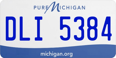 MI license plate DLI5384