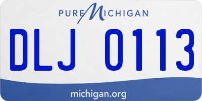 MI license plate DLJ0113