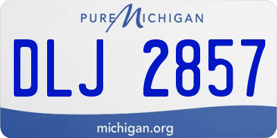 MI license plate DLJ2857