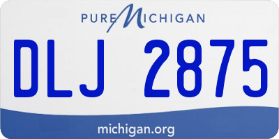 MI license plate DLJ2875