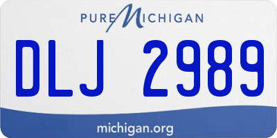 MI license plate DLJ2989