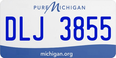 MI license plate DLJ3855