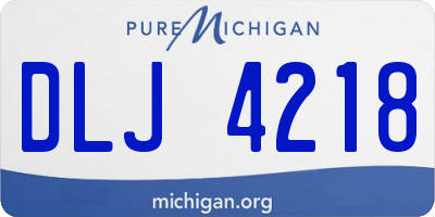 MI license plate DLJ4218