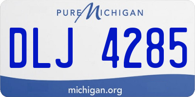 MI license plate DLJ4285