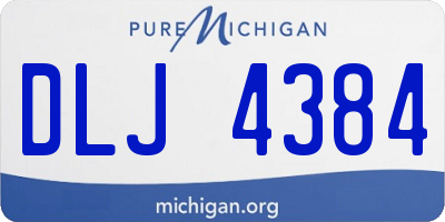 MI license plate DLJ4384