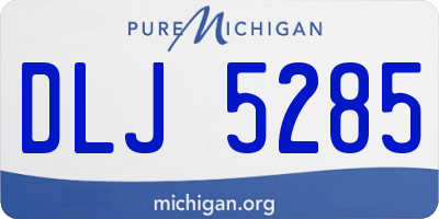 MI license plate DLJ5285