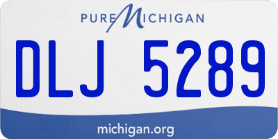 MI license plate DLJ5289