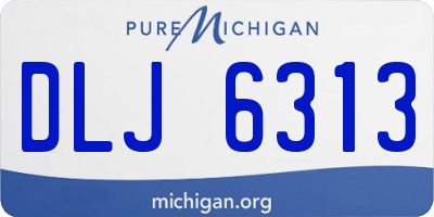 MI license plate DLJ6313