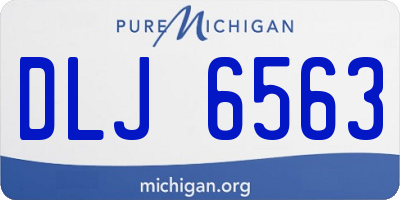 MI license plate DLJ6563