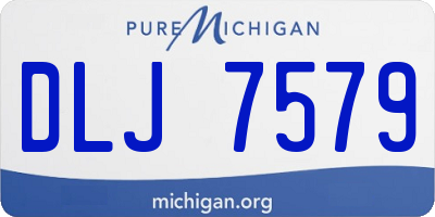 MI license plate DLJ7579