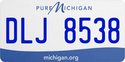 MI license plate DLJ8538