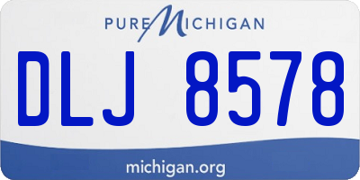 MI license plate DLJ8578