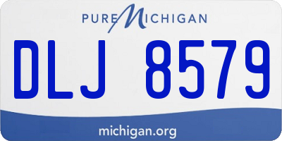 MI license plate DLJ8579