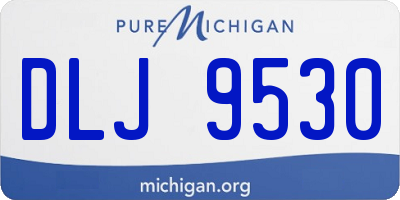 MI license plate DLJ9530