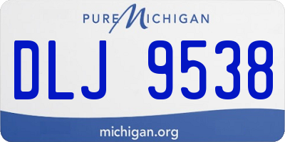 MI license plate DLJ9538