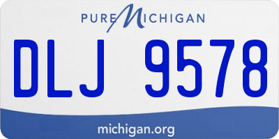 MI license plate DLJ9578