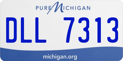 MI license plate DLL7313