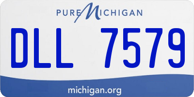 MI license plate DLL7579