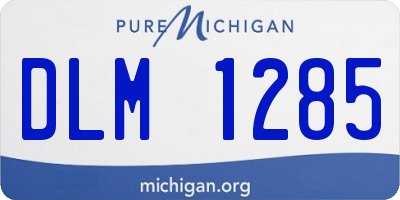 MI license plate DLM1285