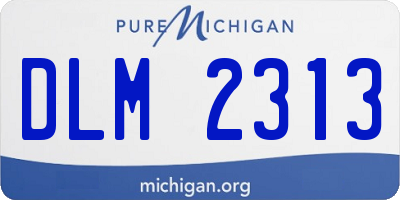 MI license plate DLM2313