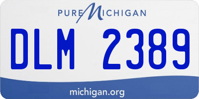 MI license plate DLM2389