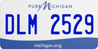 MI license plate DLM2529