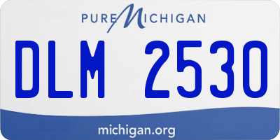 MI license plate DLM2530