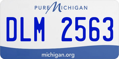 MI license plate DLM2563