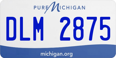 MI license plate DLM2875