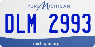 MI license plate DLM2993