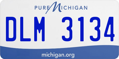 MI license plate DLM3134