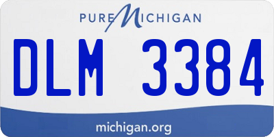 MI license plate DLM3384