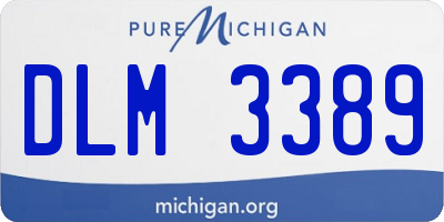MI license plate DLM3389