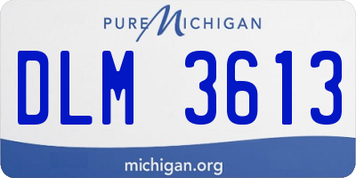 MI license plate DLM3613