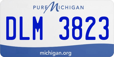 MI license plate DLM3823