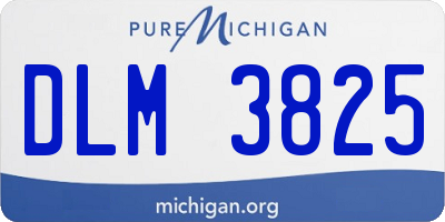 MI license plate DLM3825