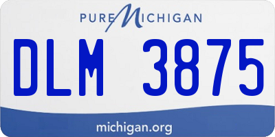 MI license plate DLM3875