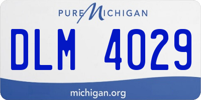 MI license plate DLM4029