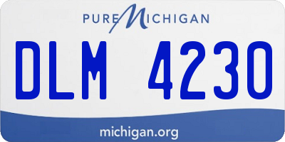 MI license plate DLM4230