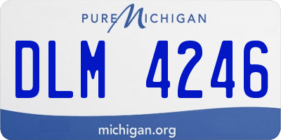 MI license plate DLM4246