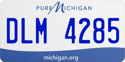 MI license plate DLM4285